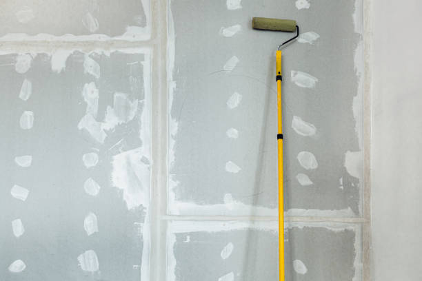 Best Asbestos and Lead Testing During Mold Inspection  in Newk, AR