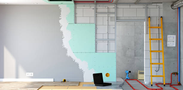 Best Real Estate Mold Inspection  in Newk, AR