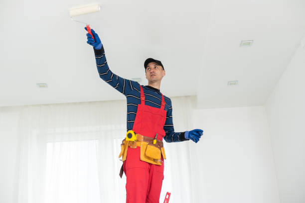 Best Mold Remediation for Healthcare Facilities  in Newk, AR