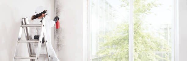 Mold Remediation for Rental Properties in Newark, AR