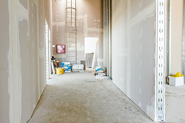 Best Dehumidification Services  in Newk, AR
