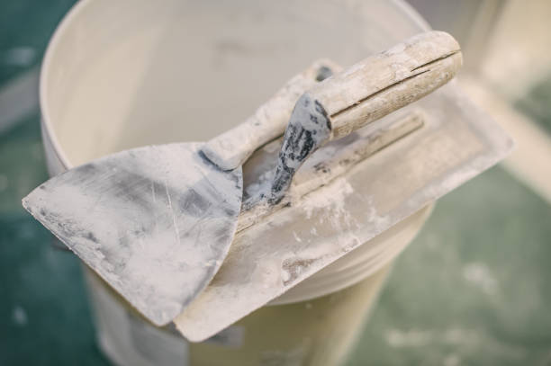 Best Environmental Consulting for Mold Prevention  in Newk, AR