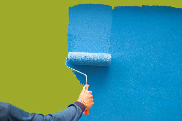 Best Mold Documentation for Insurance Claims  in Newk, AR